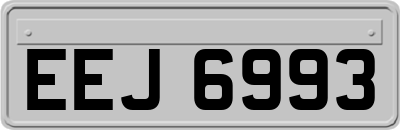 EEJ6993