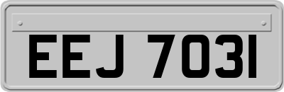 EEJ7031