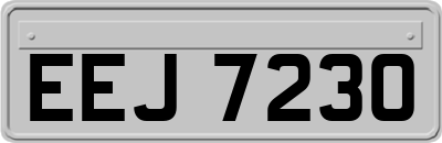EEJ7230