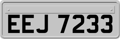 EEJ7233
