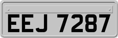 EEJ7287