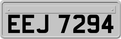EEJ7294