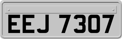 EEJ7307