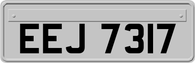 EEJ7317