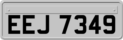 EEJ7349