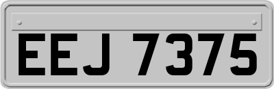 EEJ7375
