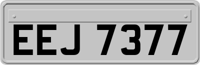 EEJ7377