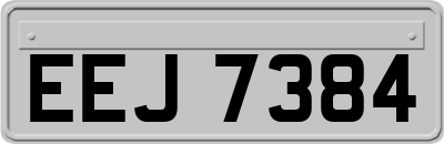 EEJ7384