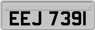 EEJ7391