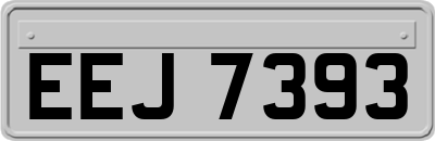 EEJ7393