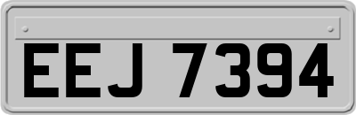 EEJ7394