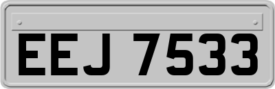 EEJ7533