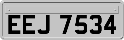 EEJ7534