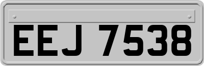 EEJ7538