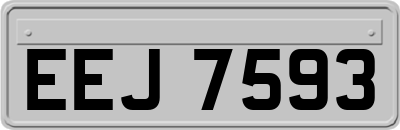 EEJ7593
