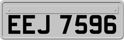 EEJ7596