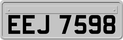 EEJ7598