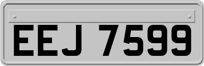 EEJ7599