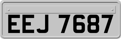 EEJ7687