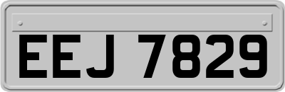 EEJ7829