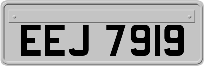 EEJ7919