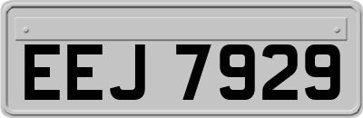 EEJ7929