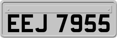 EEJ7955