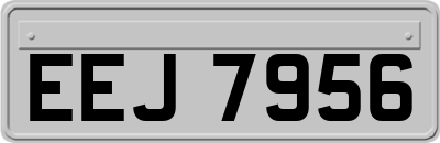 EEJ7956