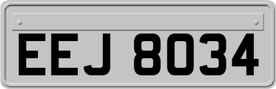 EEJ8034