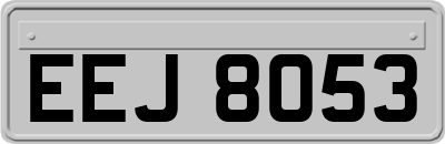 EEJ8053
