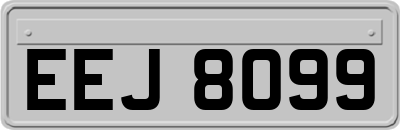 EEJ8099