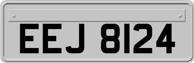 EEJ8124
