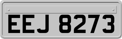 EEJ8273