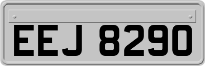 EEJ8290