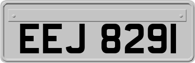 EEJ8291