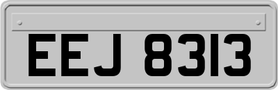 EEJ8313