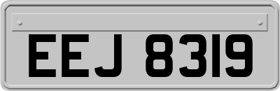 EEJ8319