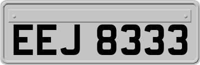 EEJ8333