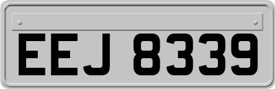 EEJ8339
