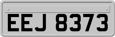 EEJ8373