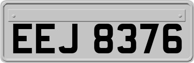 EEJ8376