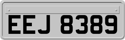 EEJ8389