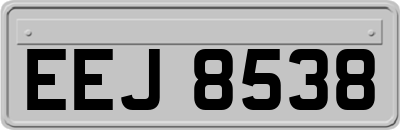 EEJ8538