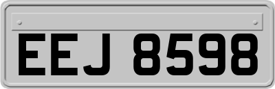 EEJ8598