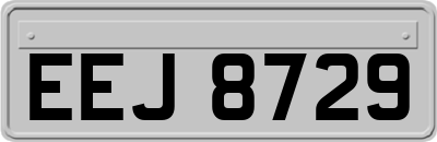 EEJ8729