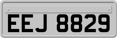 EEJ8829
