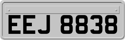 EEJ8838