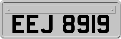 EEJ8919