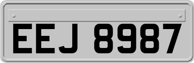 EEJ8987