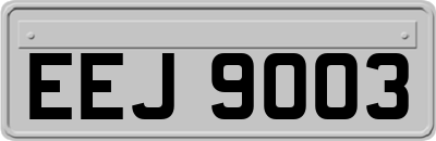 EEJ9003